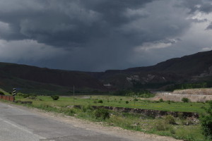 IMGP5428