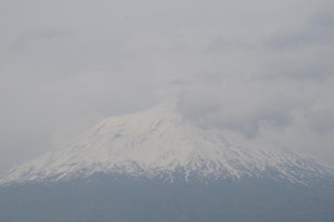 IMGP5490