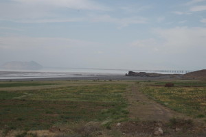 IMGP5590