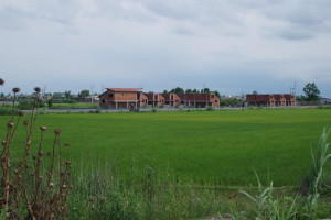 IMGP6145