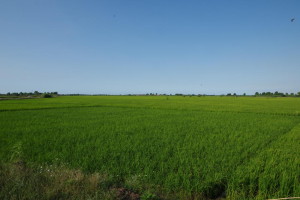 IMGP6147