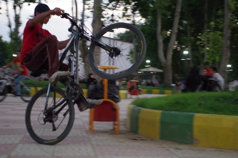 IMGP6177