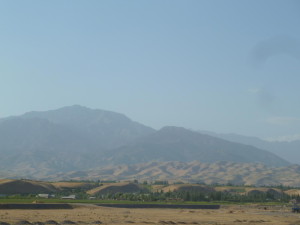 P1020845
